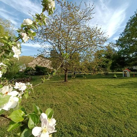 Gite Climatise Villa Esperanza 2 A 5 Personnes Valençay Extérieur photo