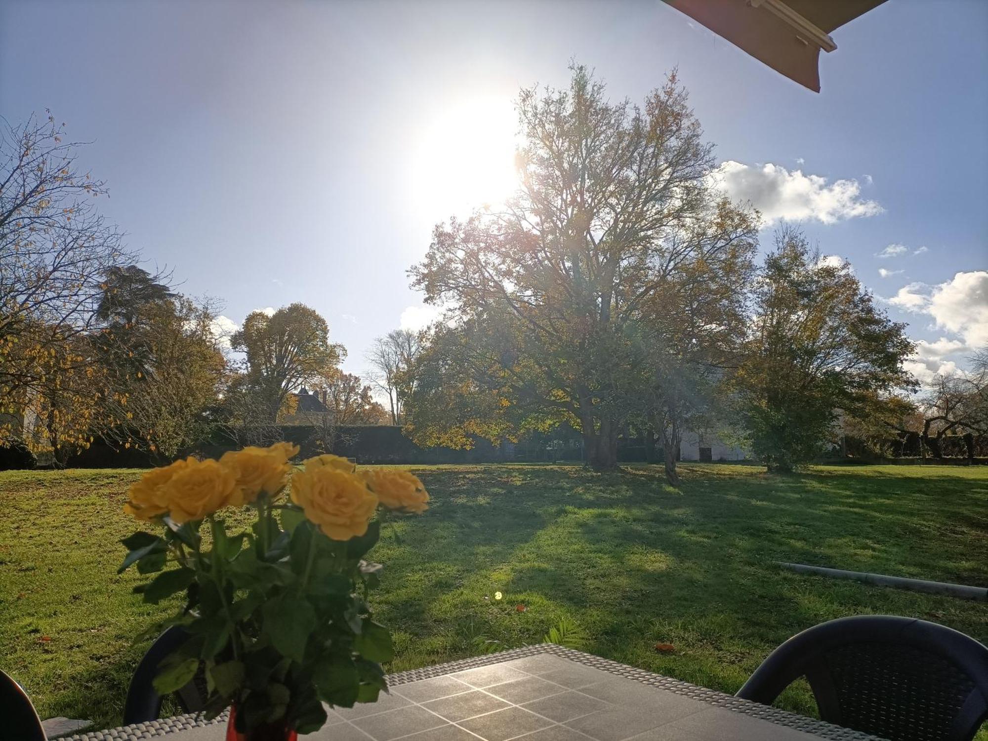 Gite Climatise Villa Esperanza 2 A 5 Personnes Valençay Extérieur photo