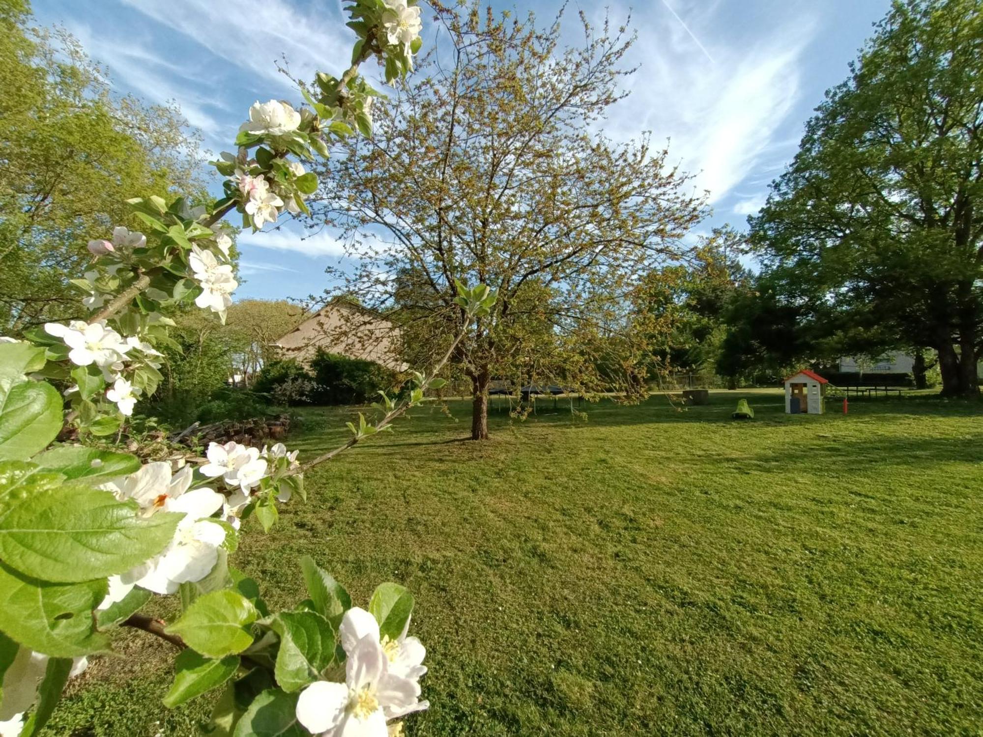 Gite Climatise Villa Esperanza 2 A 5 Personnes Valençay Extérieur photo