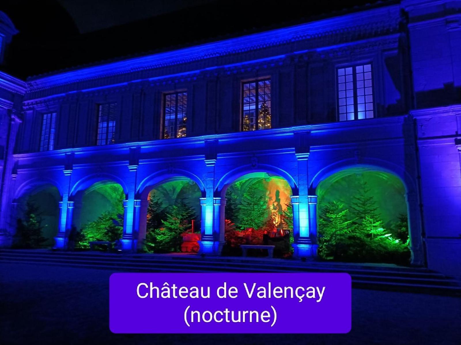 Gite Climatise Villa Esperanza 2 A 5 Personnes Valençay Extérieur photo